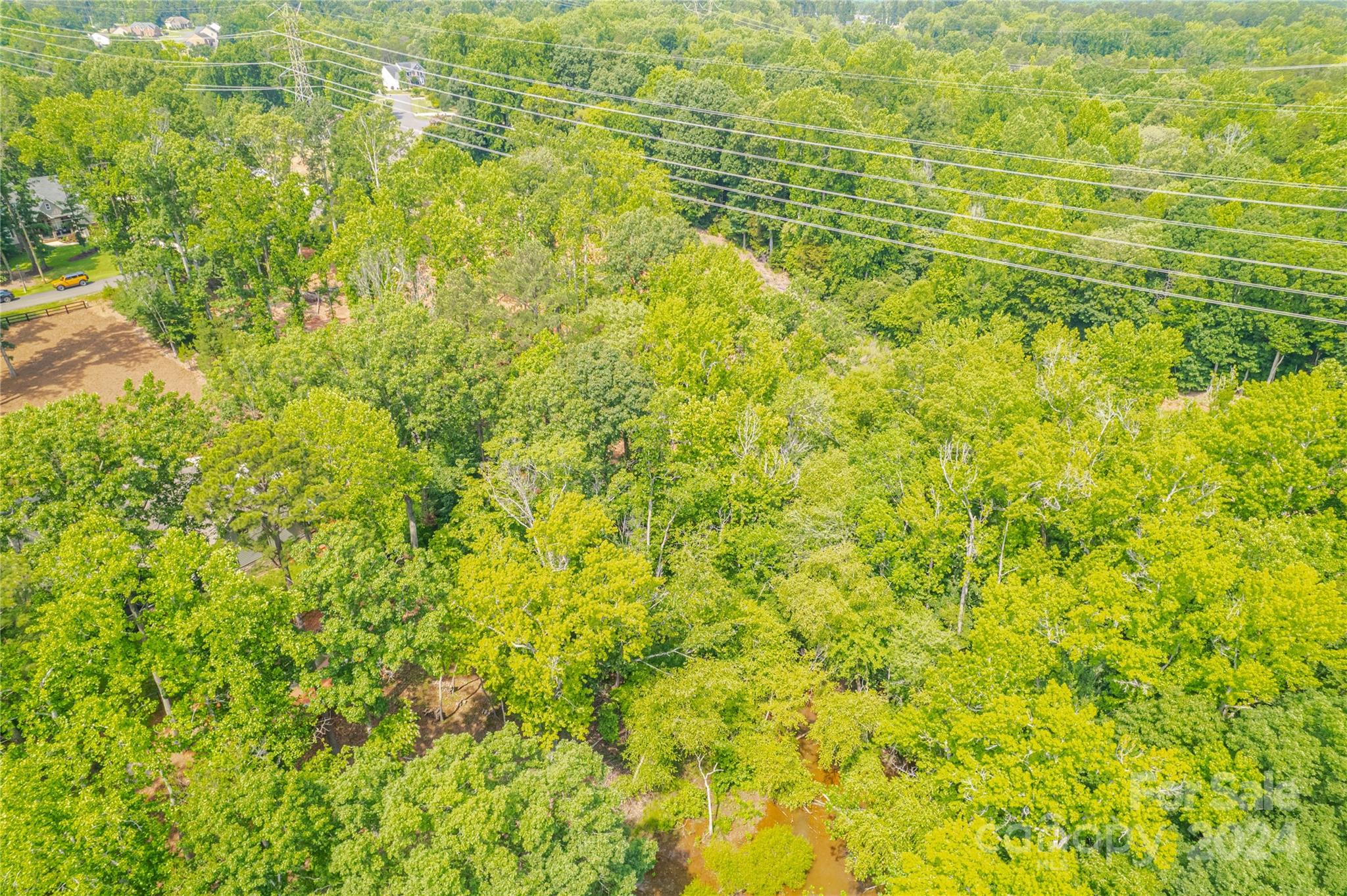 345 Squirrel Lane Clover, SC 29710 - Photo 16 of 21 a view of a big yard with large trees
