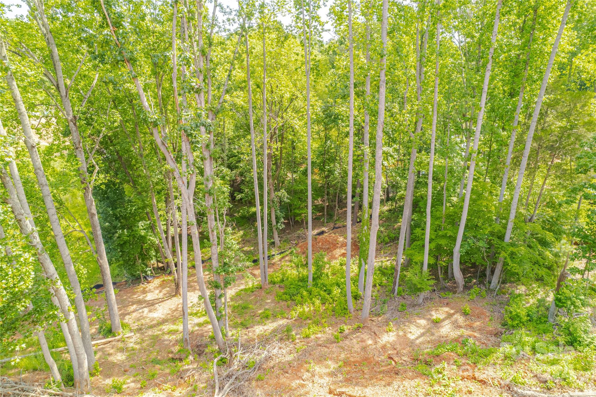 345 Squirrel Lane Clover, SC 29710 - Photo 17 of 21