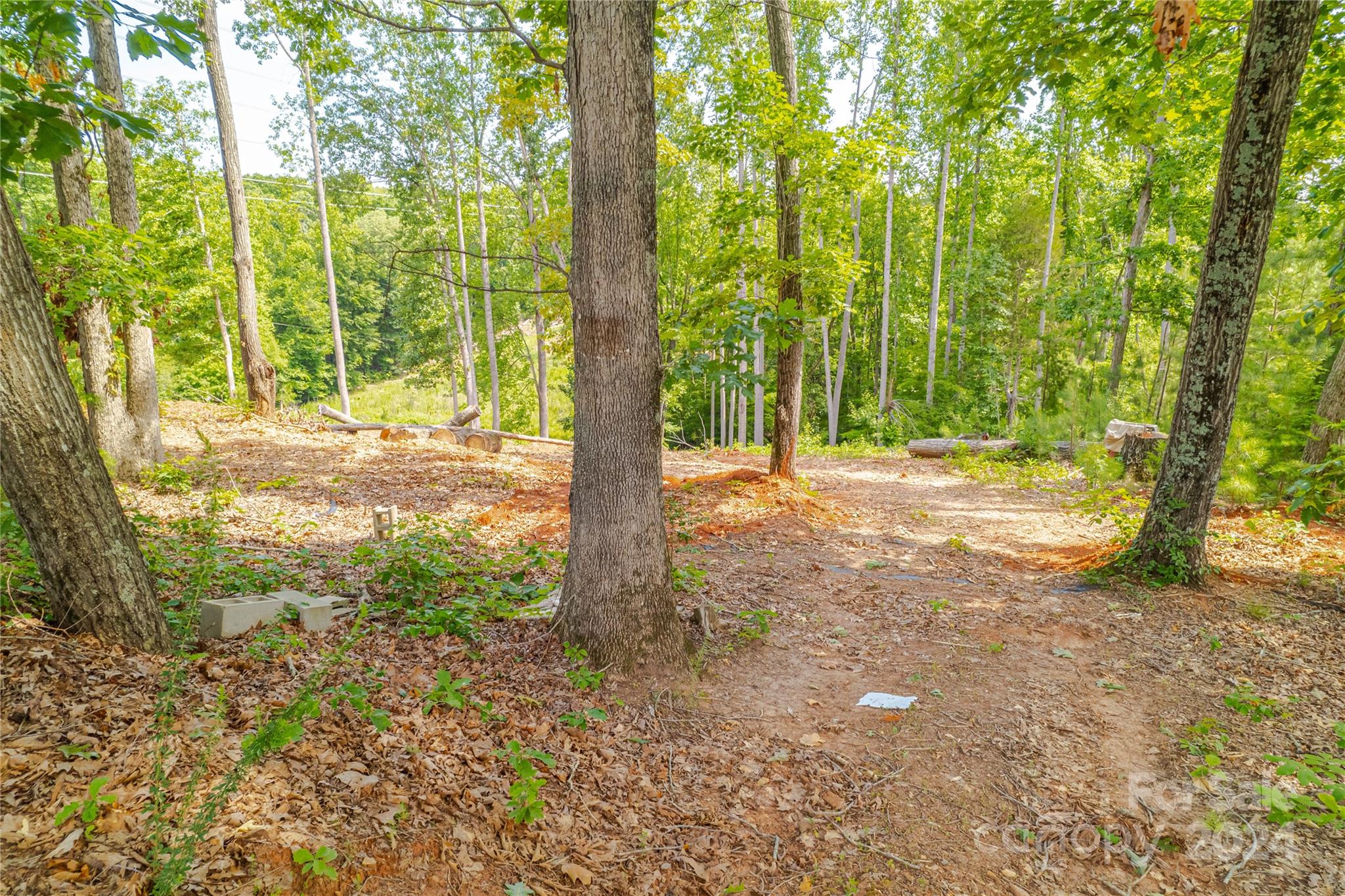 345 Squirrel Lane Clover, SC 29710 - Photo 21 of 21 a view of a yard with large trees