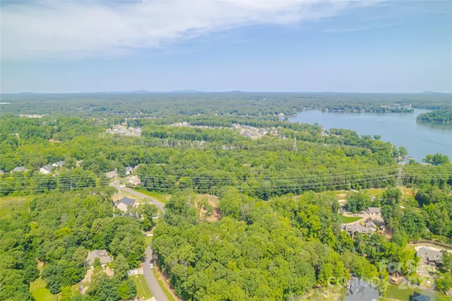 a view of a city with lush green forest