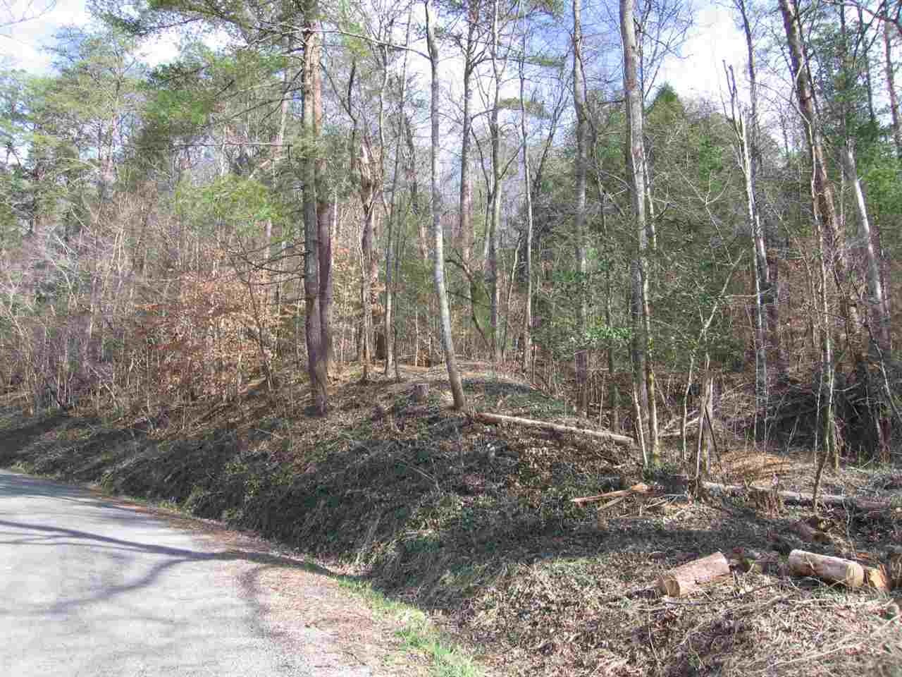 0 Towee Pike Reliance, TN 37369 - Photo 7 of 41