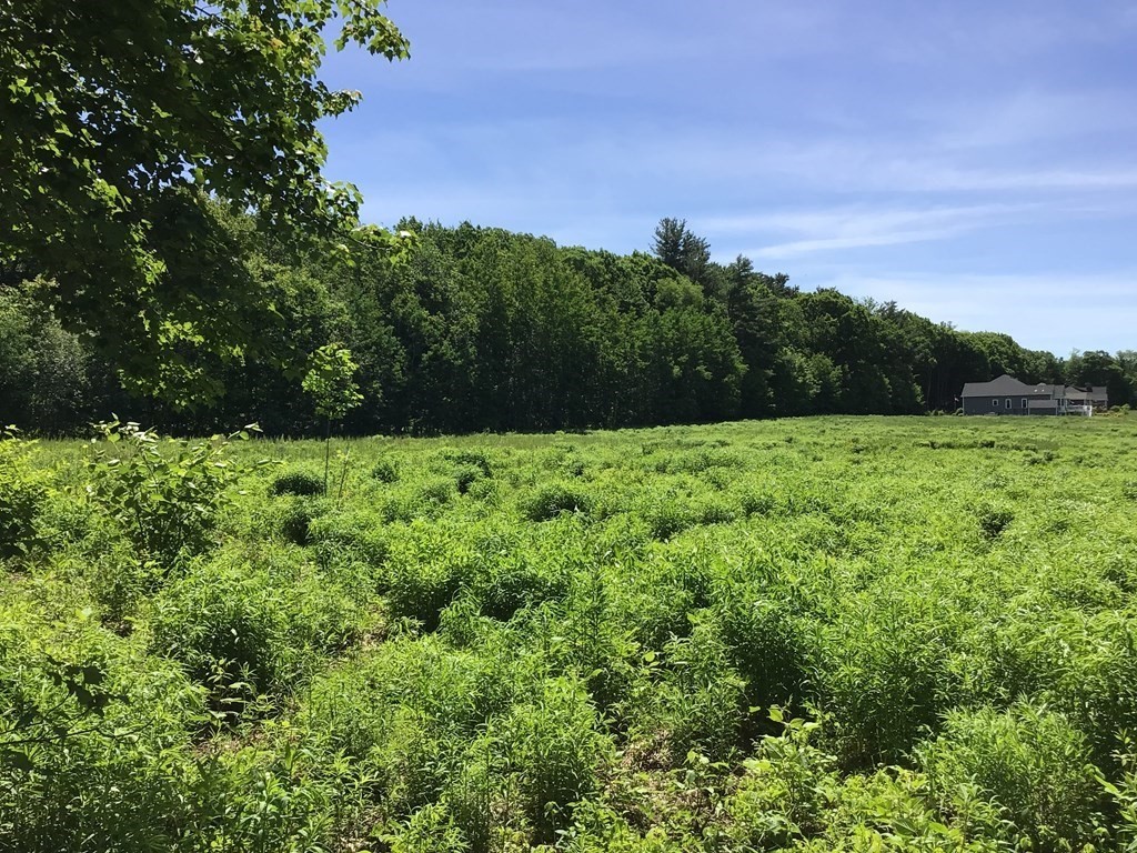 0 Walnut Street Rutland, MA 01543 - Photo 1 of 4