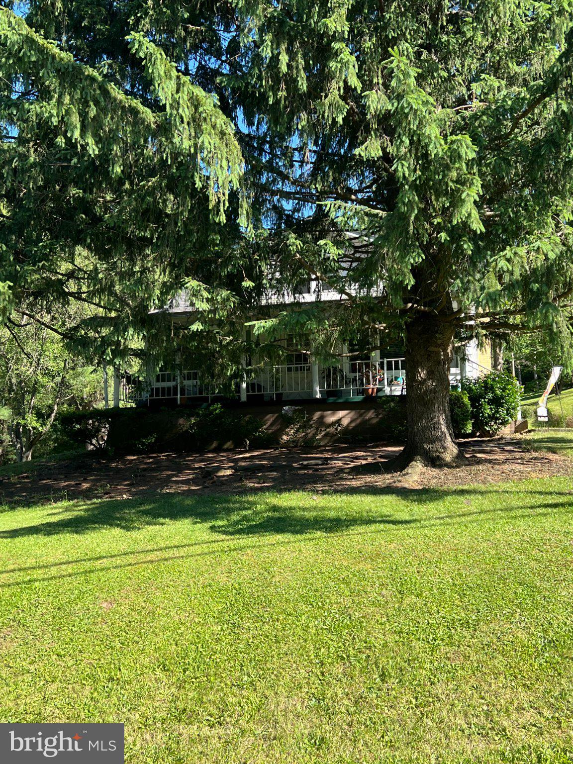 11402 Red Hill Road Southwest La Vale, MD 21502 - Photo 74 of 92 Charming home nestled among tall pines.