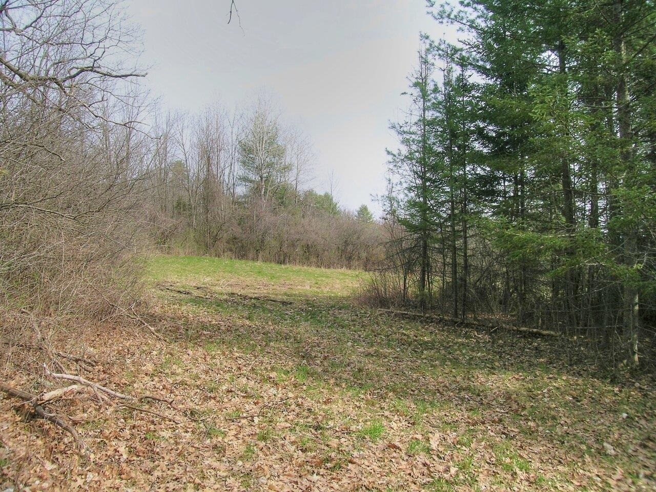 Lot #4 Mount Philo Road, Unit 4 Charlotte, VT 05445 - Photo 4 of 16 Gallery Image 4