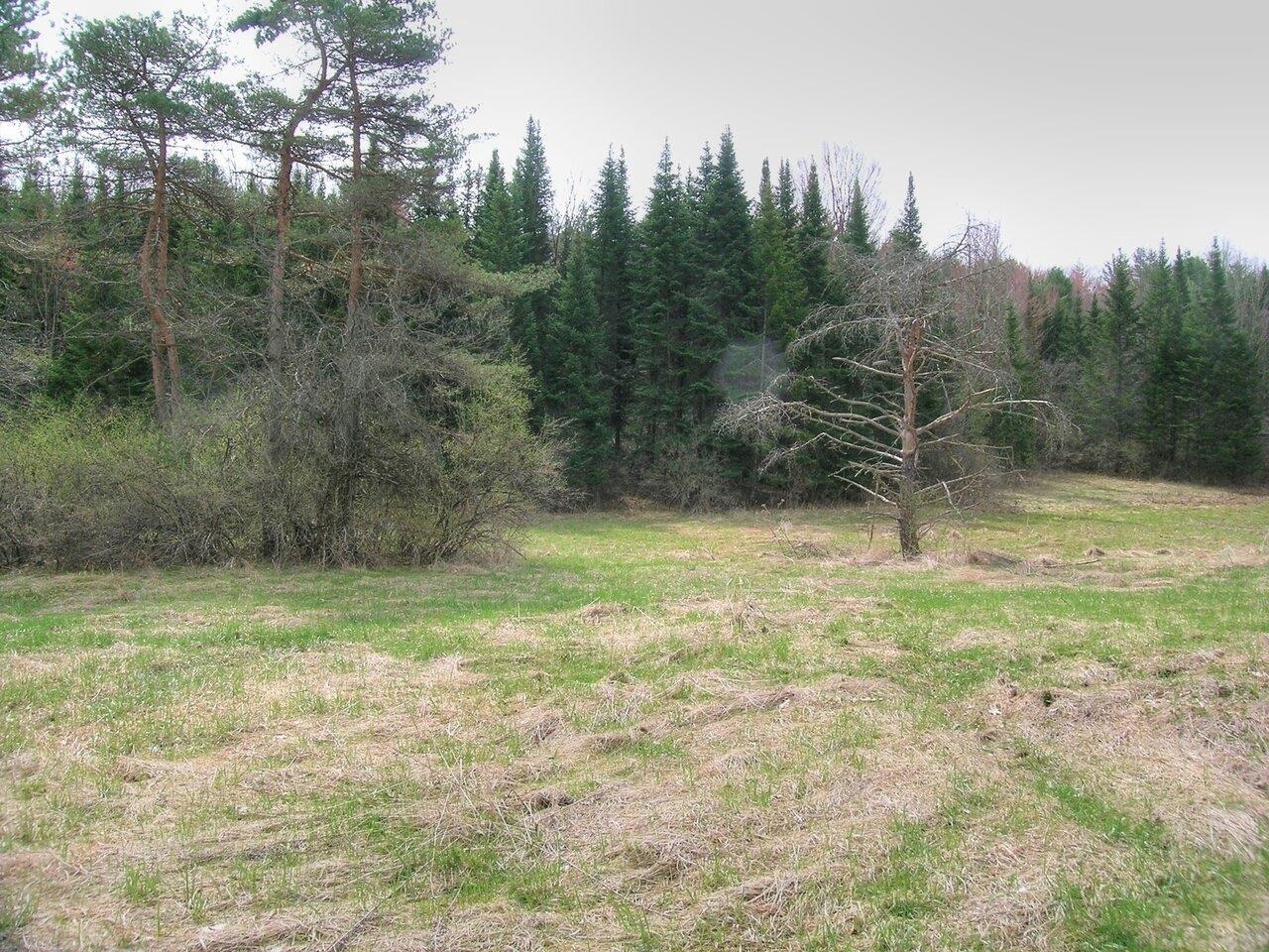 Lot #4 Mount Philo Road, Unit 4 Charlotte, VT 05445 - Photo 7 of 16 Gallery Image 7