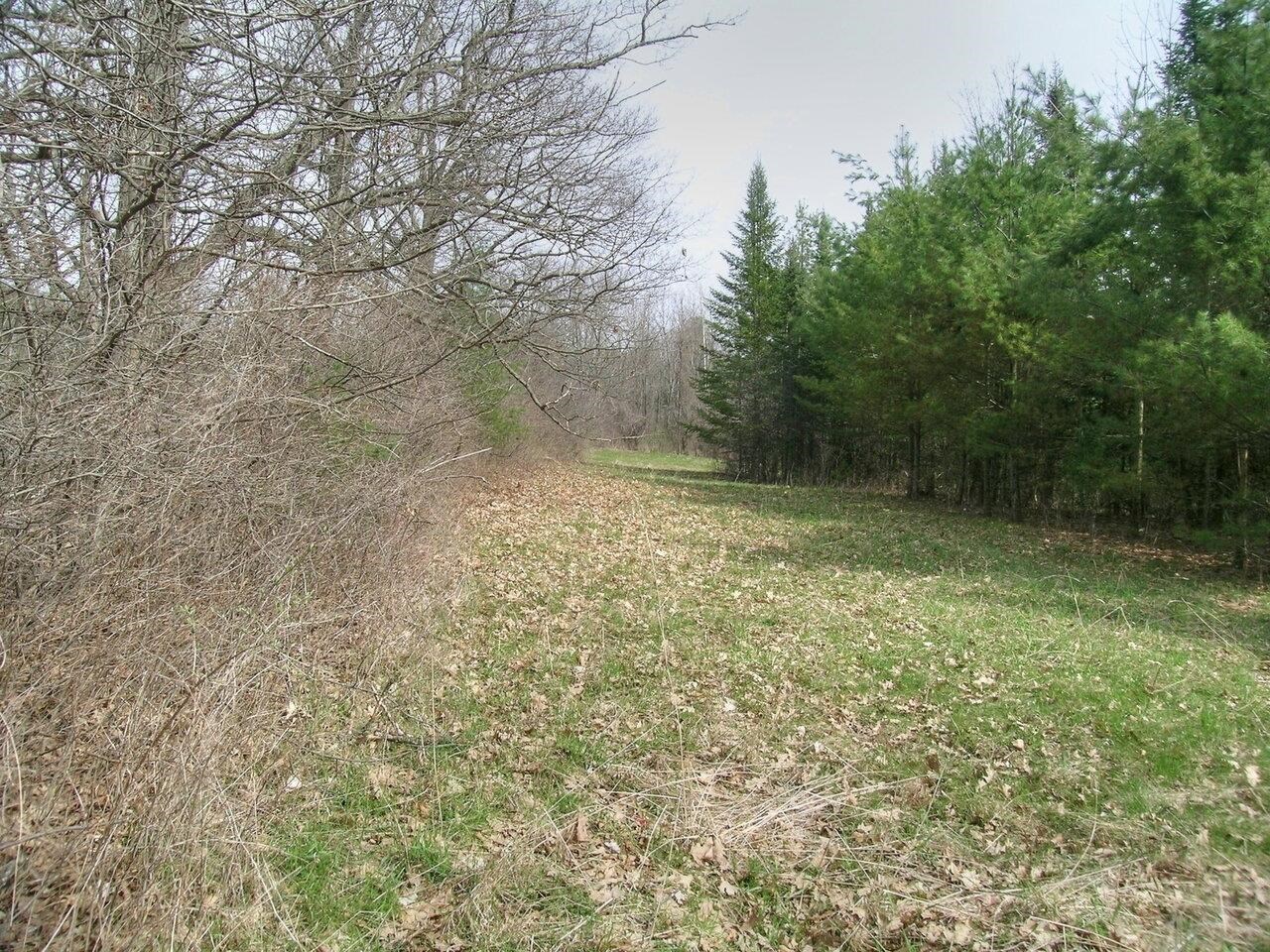Lot #4 Mount Philo Road, Unit 4 Charlotte, VT 05445 - Photo 10 of 16 Gallery Image 10