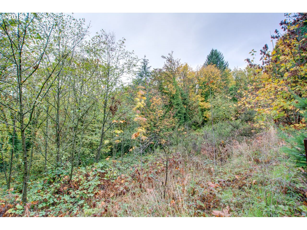 0 Southwest Scholls Ferry Road, Unit 18 Portland, OR 97221 - Photo 4 of 14 Gallery Image 4