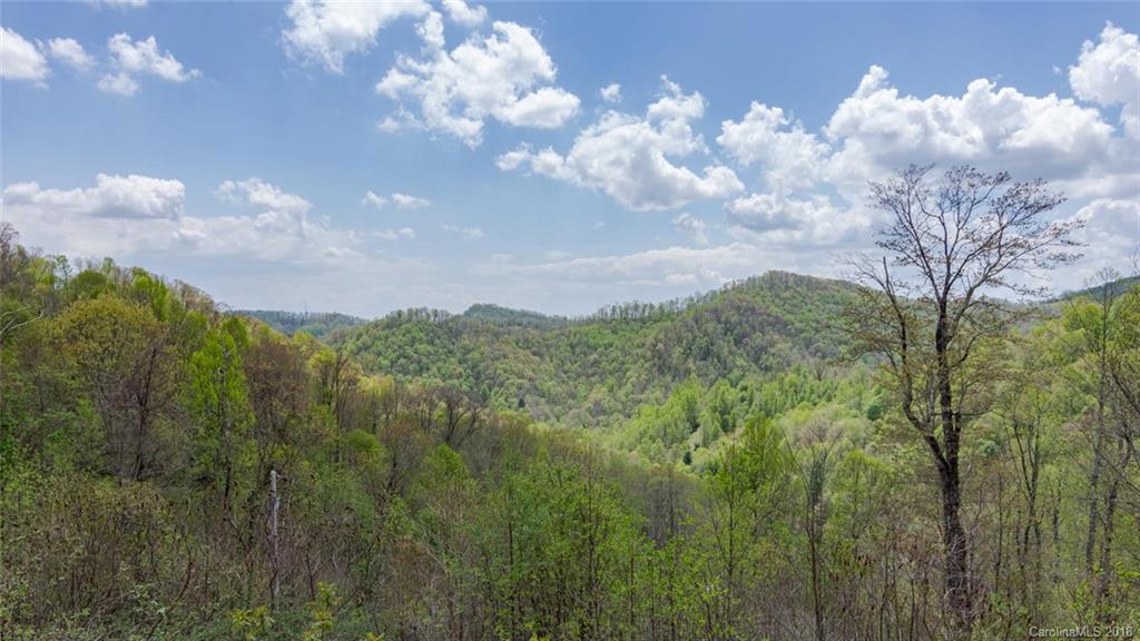 548 Miller Branch Road Mars Hill, NC 28754 - Photo 5 of 35 a view of a bunch of trees