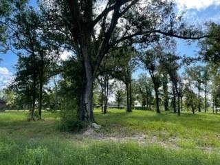 Barbara Hill Drive Ragley, LA 70657 - Photo 1 of 8 Gallery Image 1