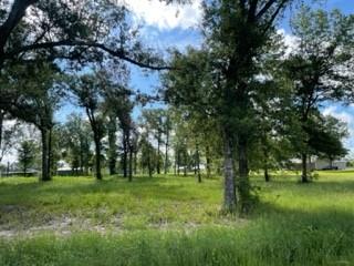 Barbara Hill Drive Ragley, LA 70657 - Photo 2 of 8 Gallery Image 2