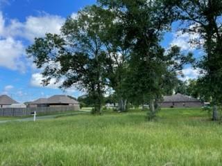 Barbara Hill Drive Ragley, LA 70657 - Photo 3 of 8 Gallery Image 3