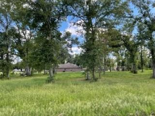 Barbara Hill Drive Ragley, LA 70657 - Photo 4 of 8 Gallery Image 4
