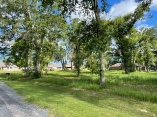 Barbara Hill Drive Ragley, LA 70657 - Photo 6 of 8 Gallery Image 6