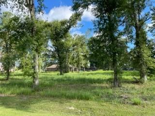 Barbara Hill Drive Ragley, LA 70657 - Photo 7 of 8 Gallery Image 7