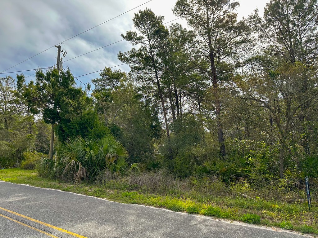 2098 Lighthouse Road Carrabelle, FL 32322 - Photo 5 of 8 Gallery Image 5