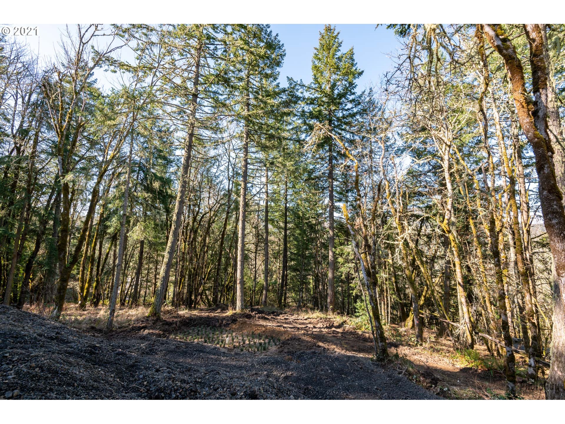 32390 Dillard Road Eugene, OR 97405 - Photo 17 of 32 Gallery Image 17