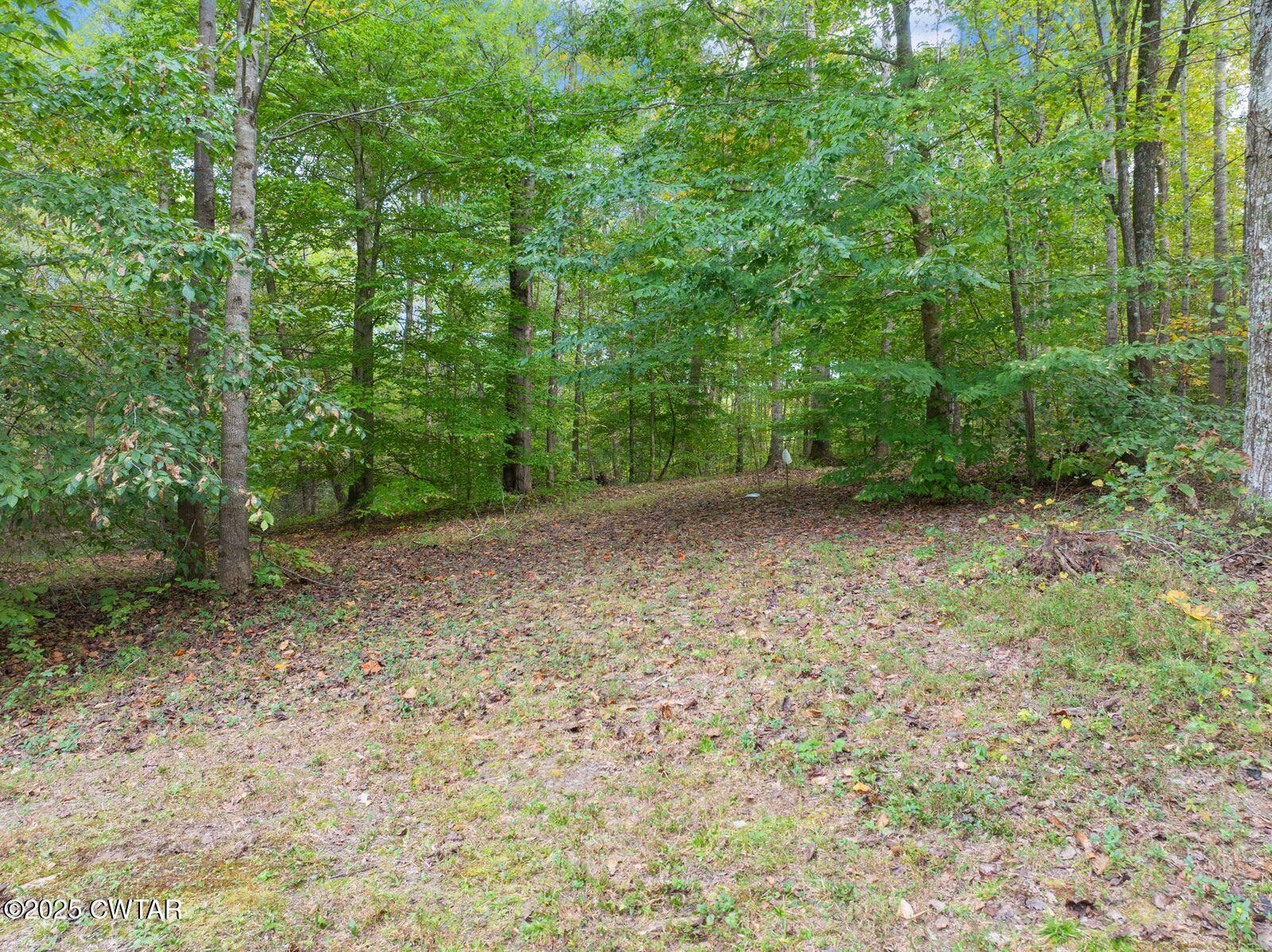2400 Sand Ridge Bargerton Road Lexington, TN 38351 - Photo 42 of 48 a view of a forest with trees in the background