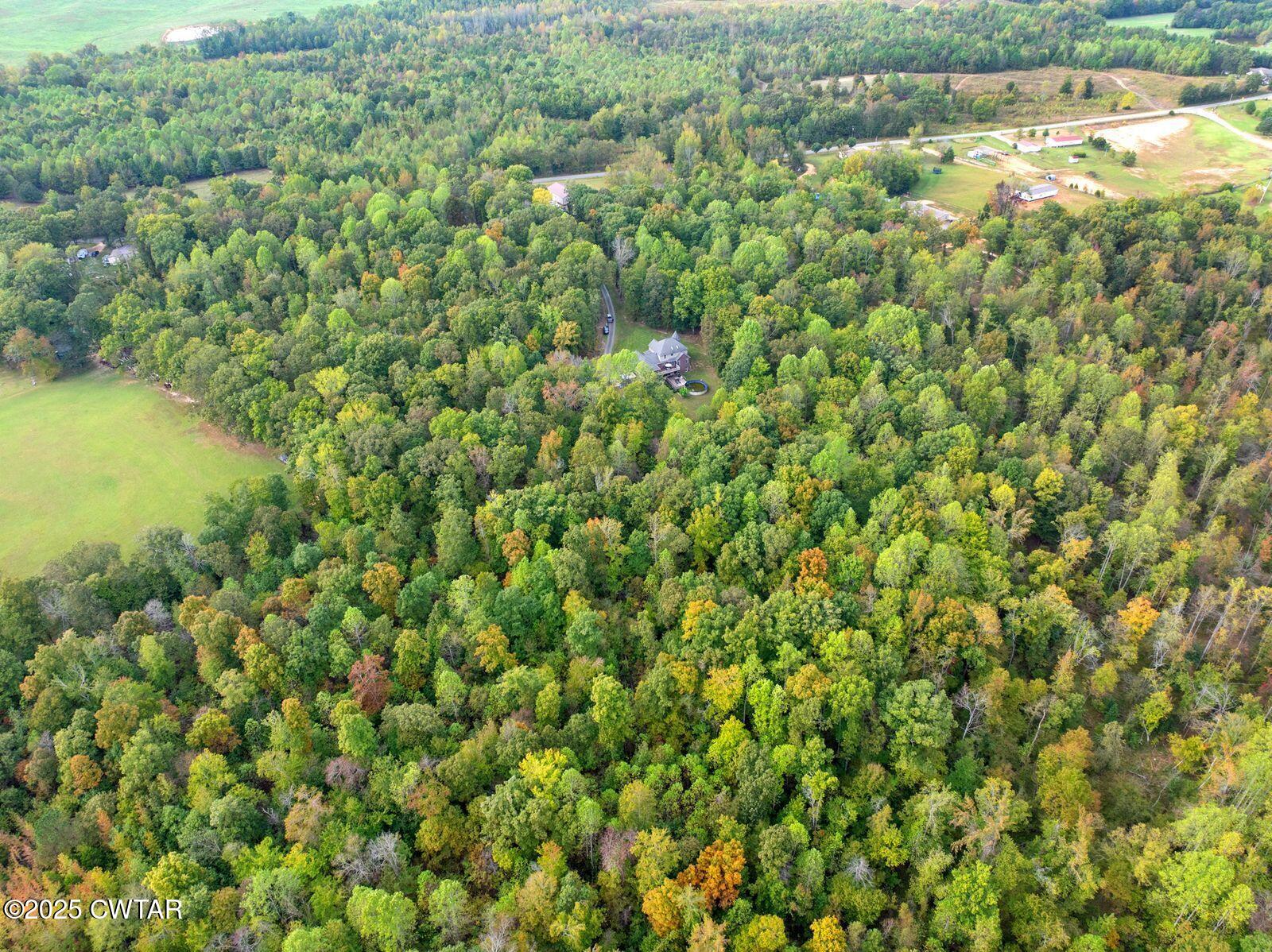 2400 Sand Ridge Bargerton Road Lexington, TN 38351 - Photo 44 of 48 a view of a lake with a tree
