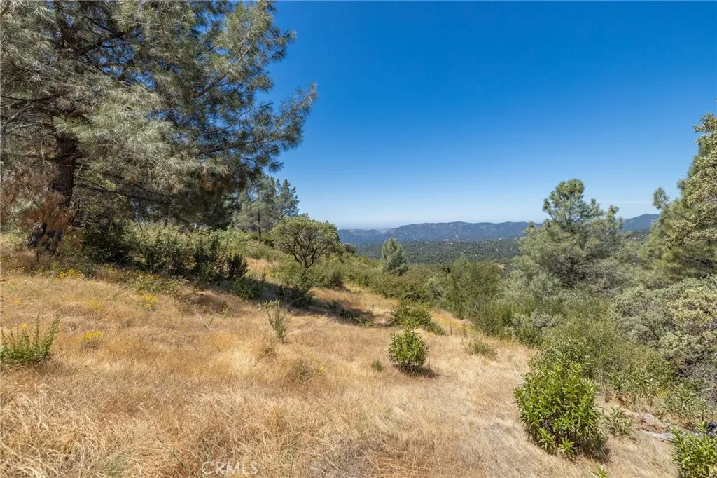 149 Old Yosemite Road Oakhurst, CA 93644 - Photo 59 of 74 Gallery Image 59