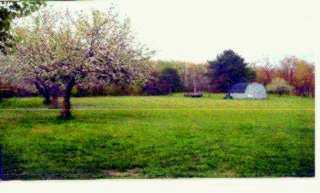 3147 Robinson Run Road McDonald, PA 15057 - Photo 5 of 6
