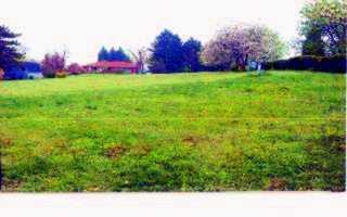 3147 Robinson Run Road McDonald, PA 15057 - Photo 6 of 6