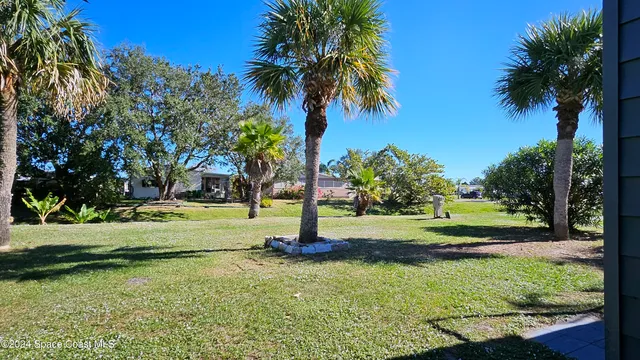 a view of a back yard