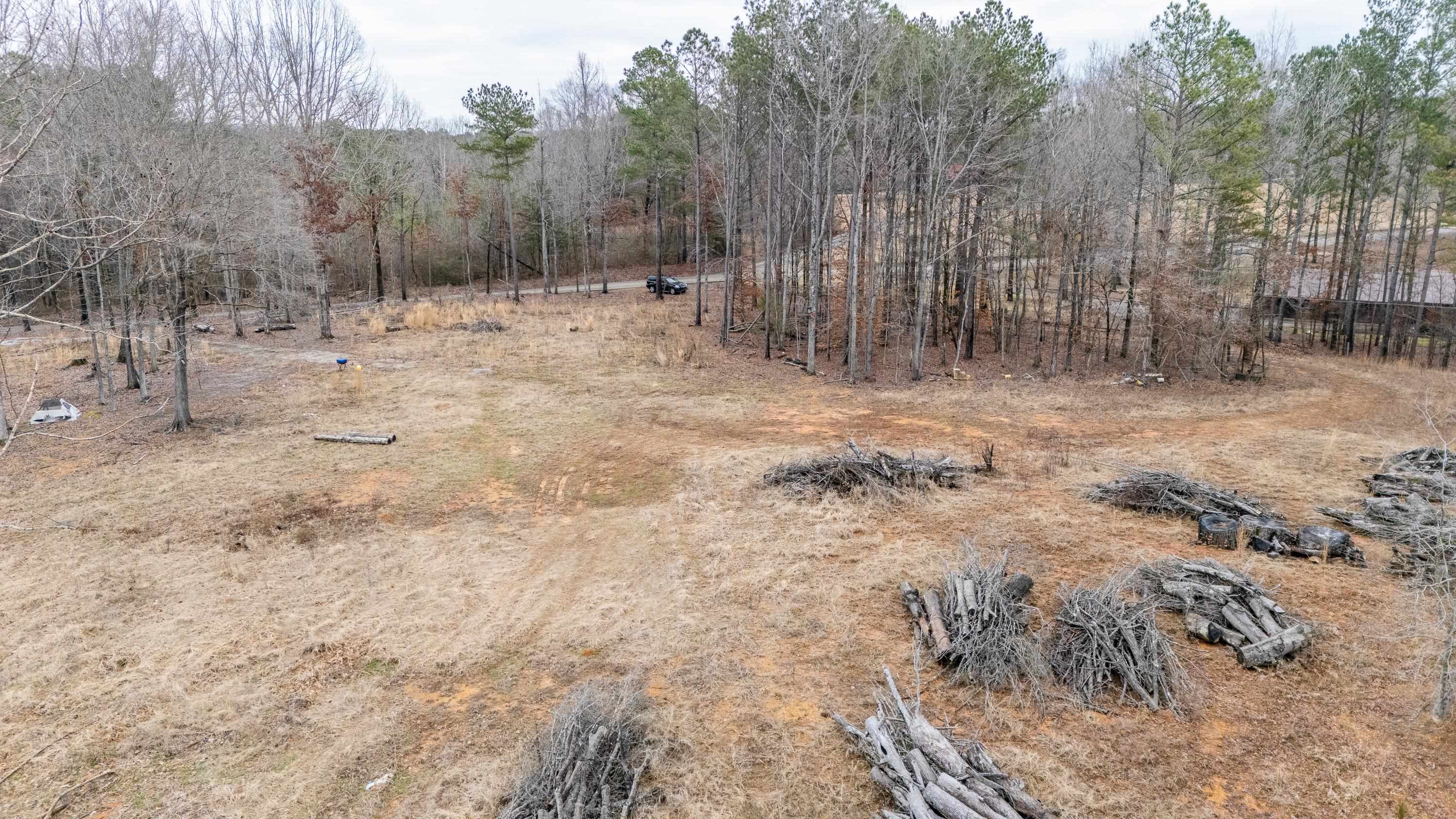 705 Post Office Road Michie, TN 38357 - Photo 5 of 8 a view of dirt yard with trees