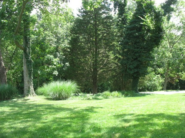 3890 Dead Timber Road California, KY 41007 - Photo 23 of 31