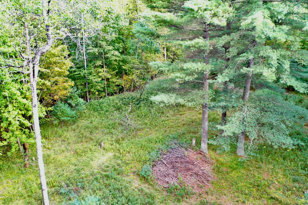 0 Nys Rt 9n Jay, NY 12941 - Photo 11 of 12 Gallery Image 11