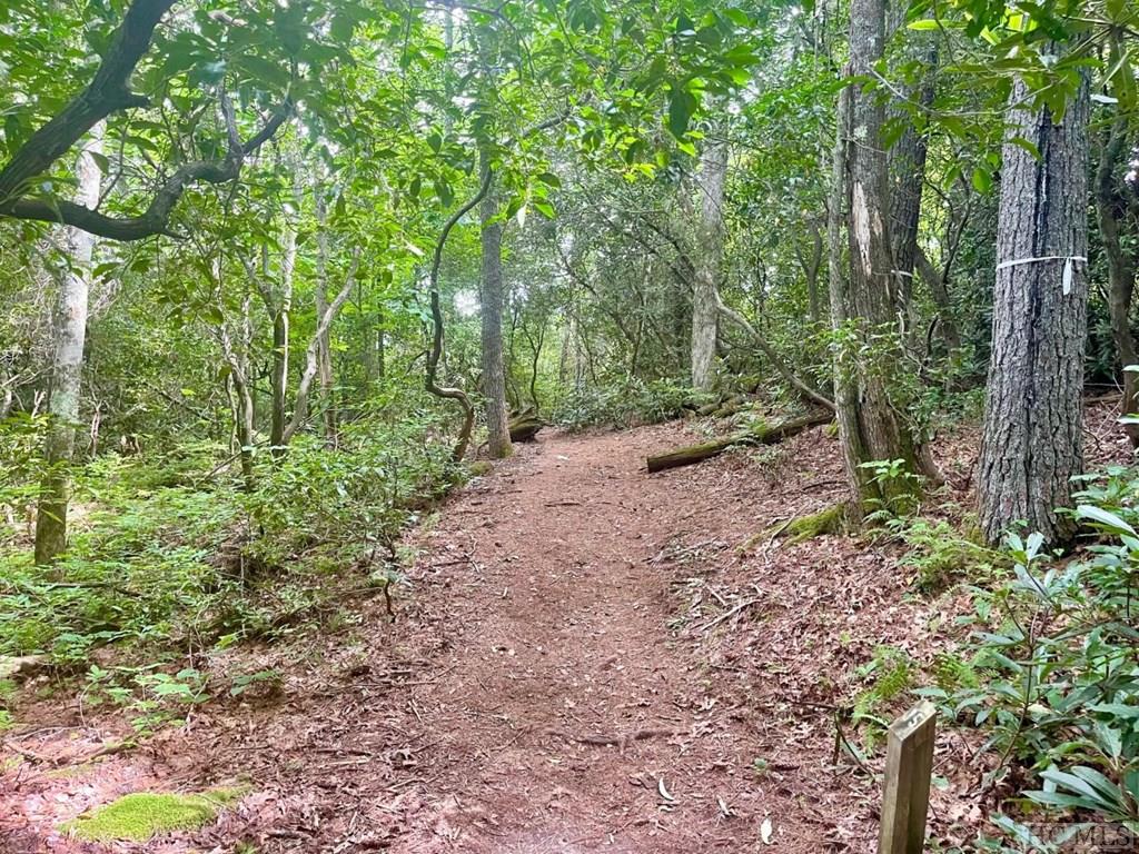 Lot 24 Flagstone Road Sapphire, NC 28774 - Photo 8 of 13 Gallery Image 8