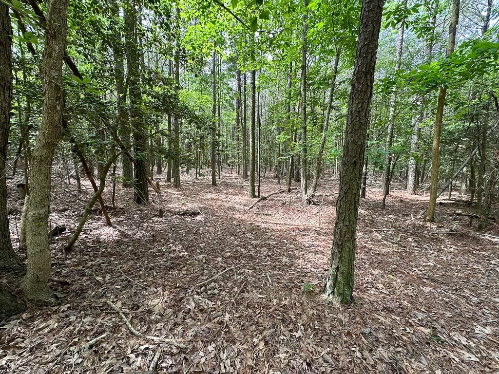 1.75-ac 1.75-ac Kegotank Road, Unit 2 Bloxom, VA 23308 - Photo 14 of 18