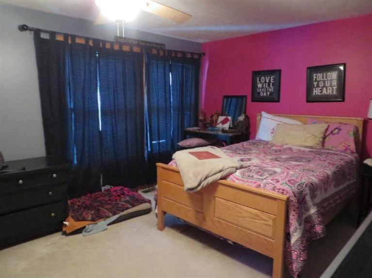 4796 West Cannonsville Road Stanton, MI 48888 - Photo 13 of 16 Additional Photo