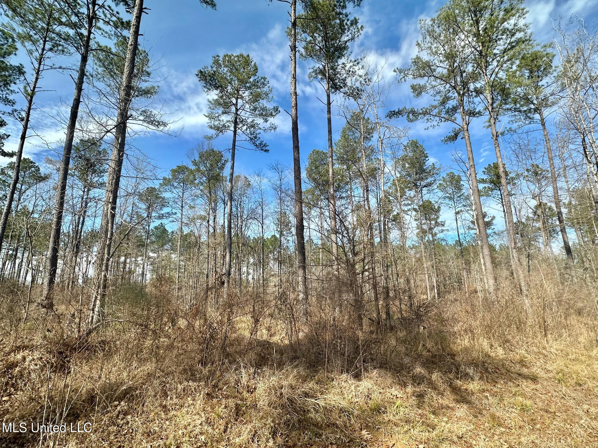 1 Prentiss Crump Road Utica, MS 39175 - Photo 9 of 38 558
