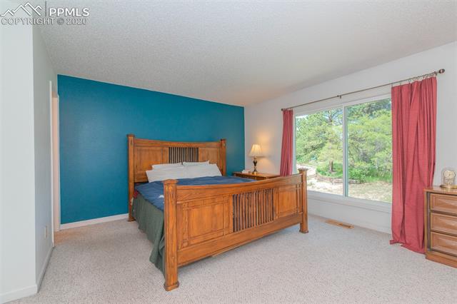 349 Raspberry Lane Monument, CO 80132 - Photo 17 of 28