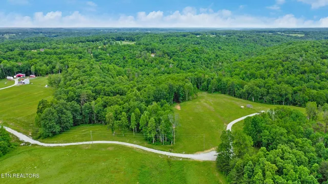 a view of a big yard with large trees