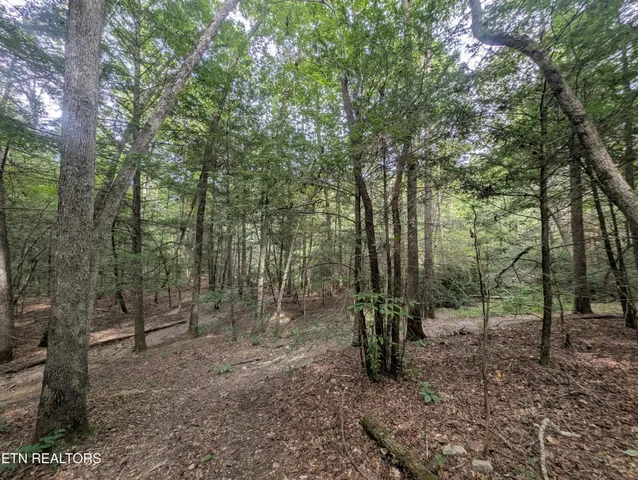 a view of outdoor space with green space