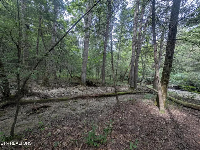 a backyard of a house with trees