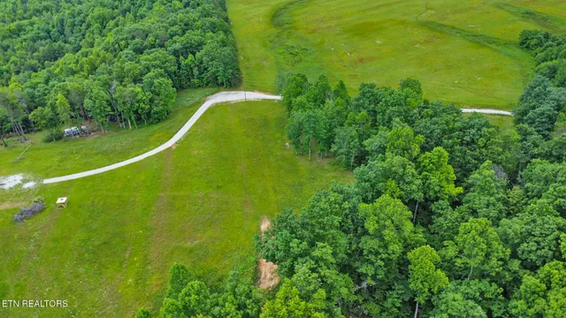 a view of a green yard