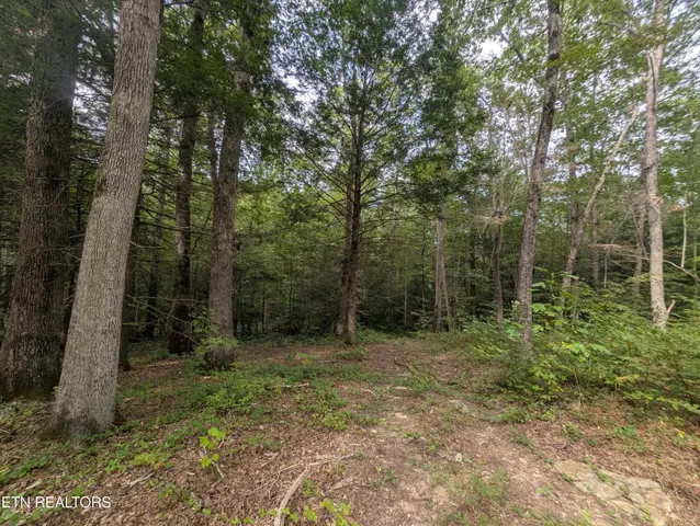 a view of outdoor space and green space