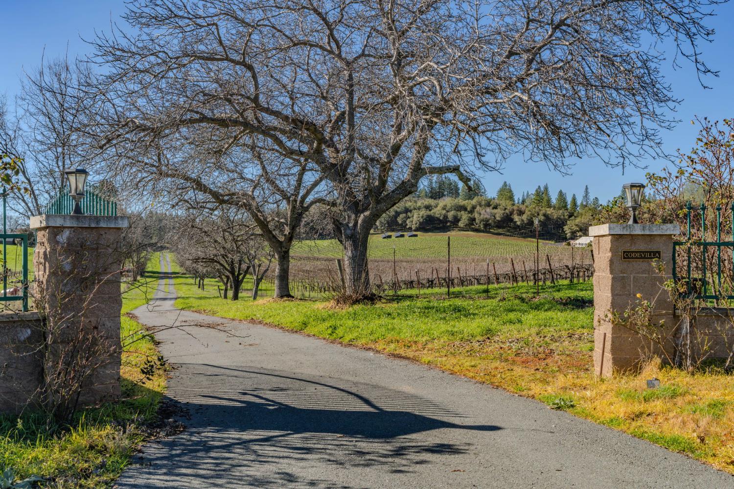 22707 Upton Road Plymouth, CA 95669 - Photo 2 of 99 Gallery Image 2