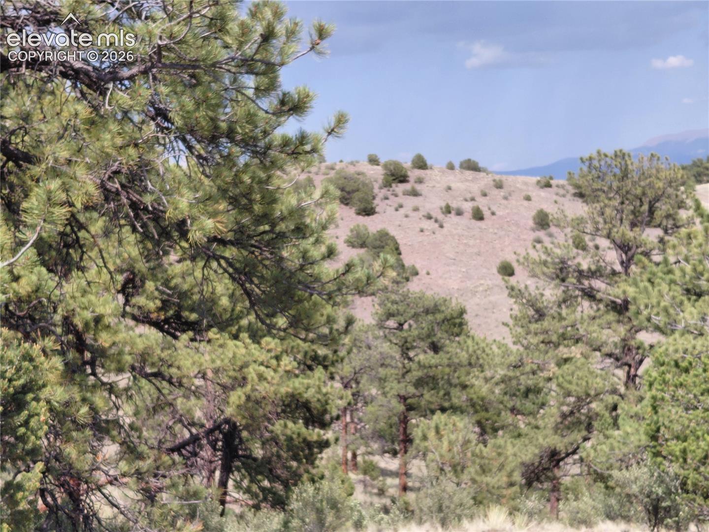 70 Owls Nest Road Guffey, CO 80820 - Photo 15 of 26 Gallery Image 15