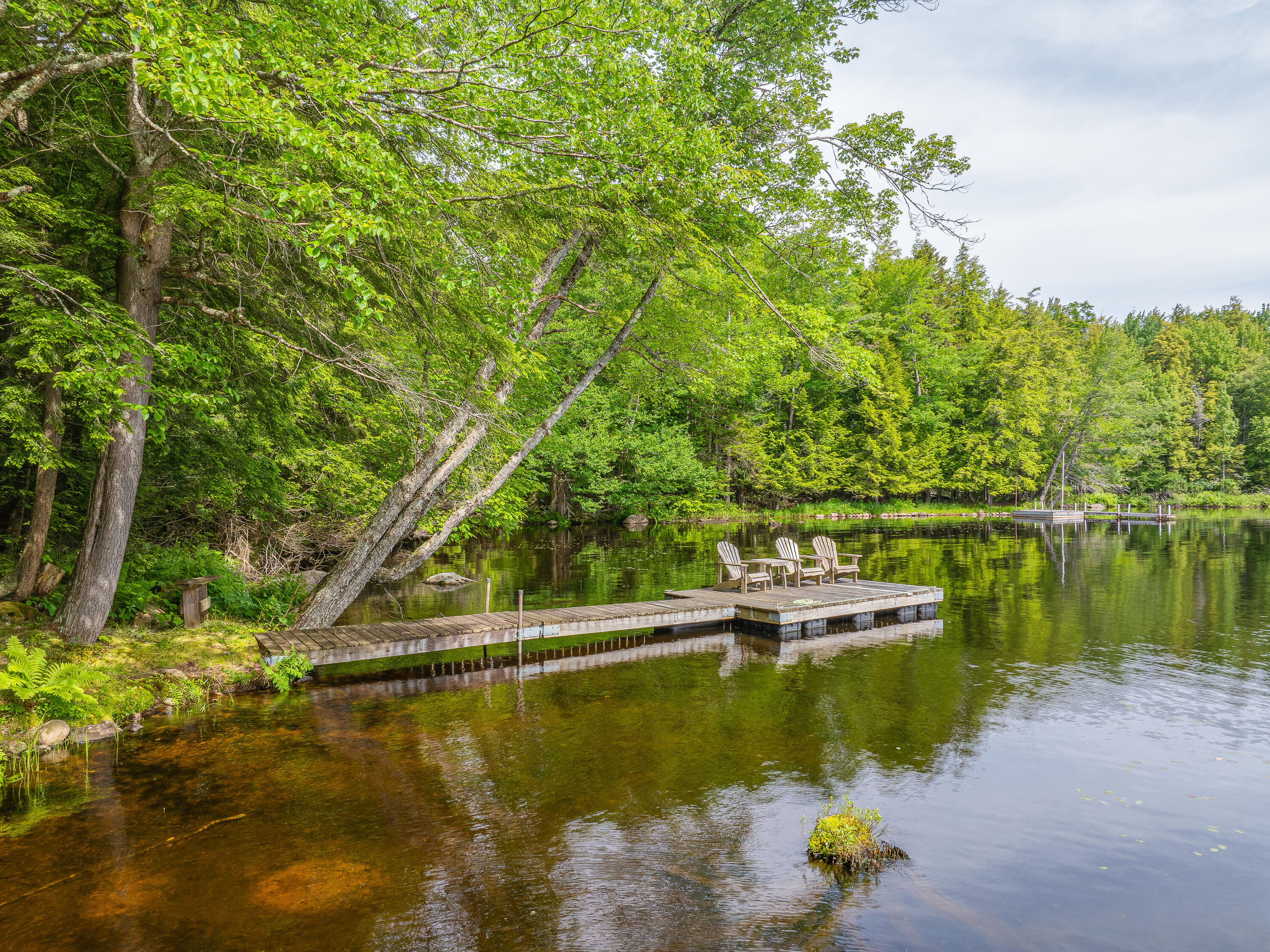 581 South Columbian Road Cranberry Lake, NY 12927 - Photo 7 of 46