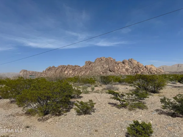 a view of a dry yard