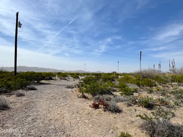 a view of a field with a mountain in the background