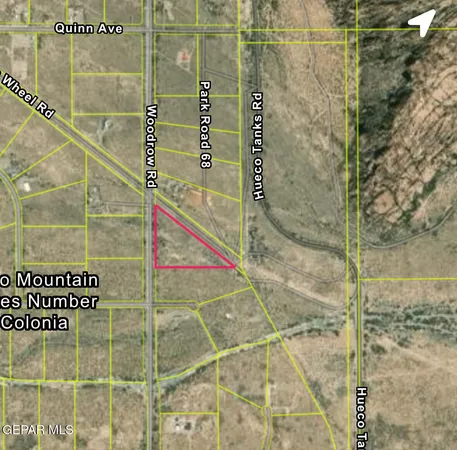 a view of a dry yard