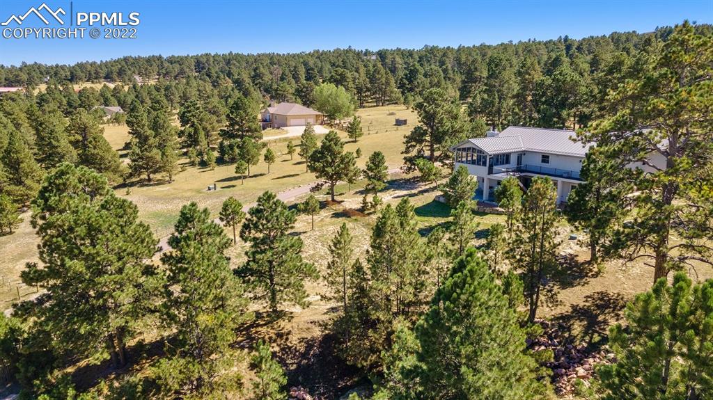 20765 Warriors Path Drive Peyton, CO 80831 - Photo 46 of 50 a view of a yard