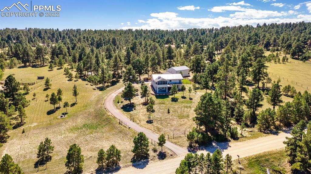 20765 Warriors Path Drive Peyton, CO 80831 - Photo 47 of 50 a view of yard along with trees