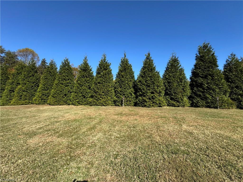 1121 Westmoreland Farm Road King, NC 27021 - Photo 21 of 49