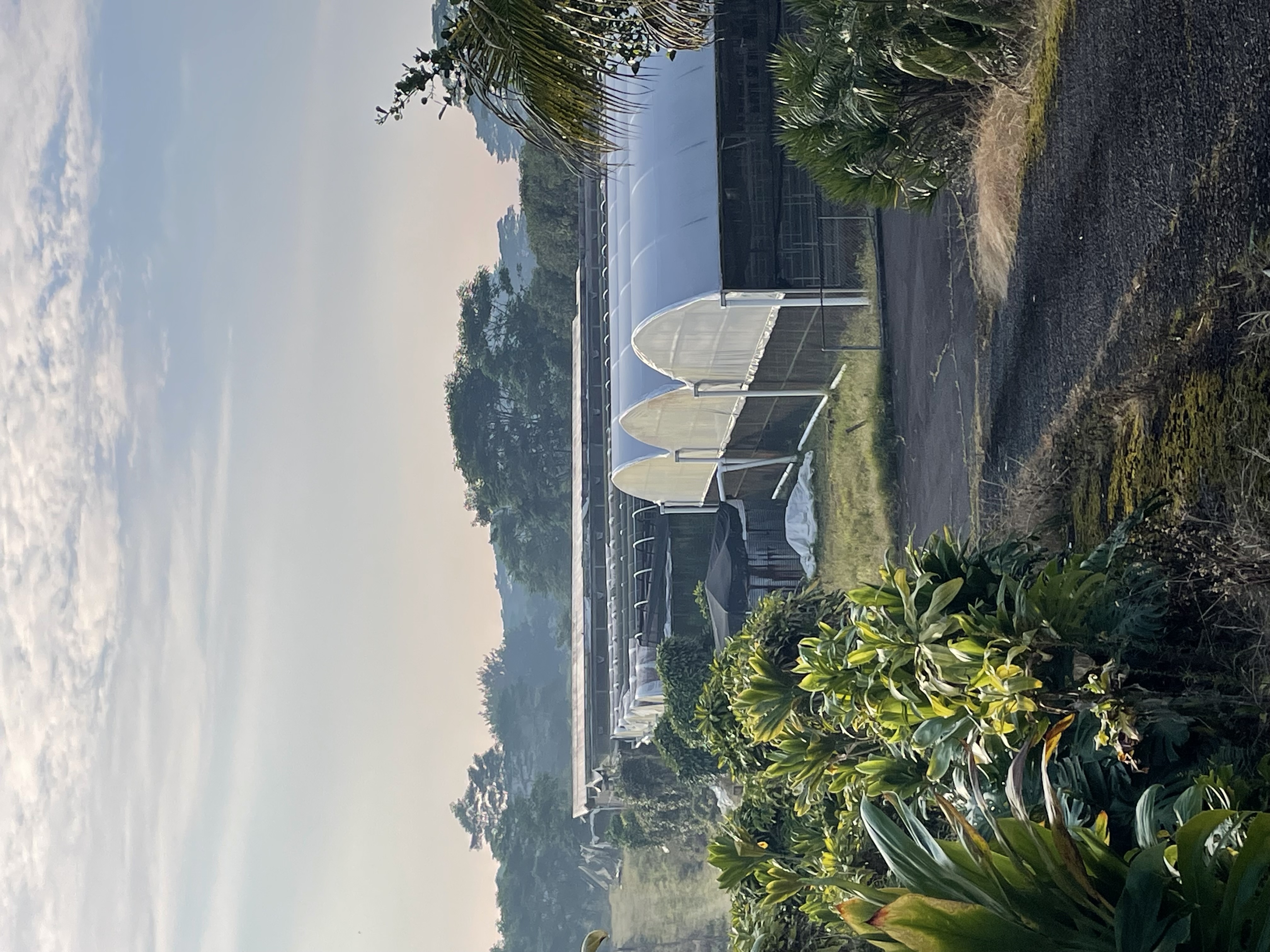 17-1083 Volcano Road Mountain View, HI 96771 - Photo 20 of 20 Gallery Image 20