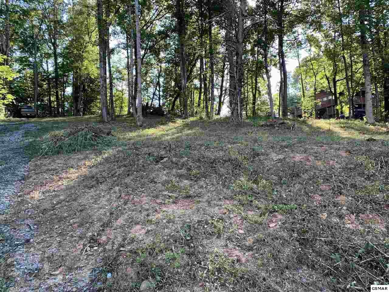 37 Mattox Cemetery Road Sevierville, TN 37862 - Photo 3 of 4